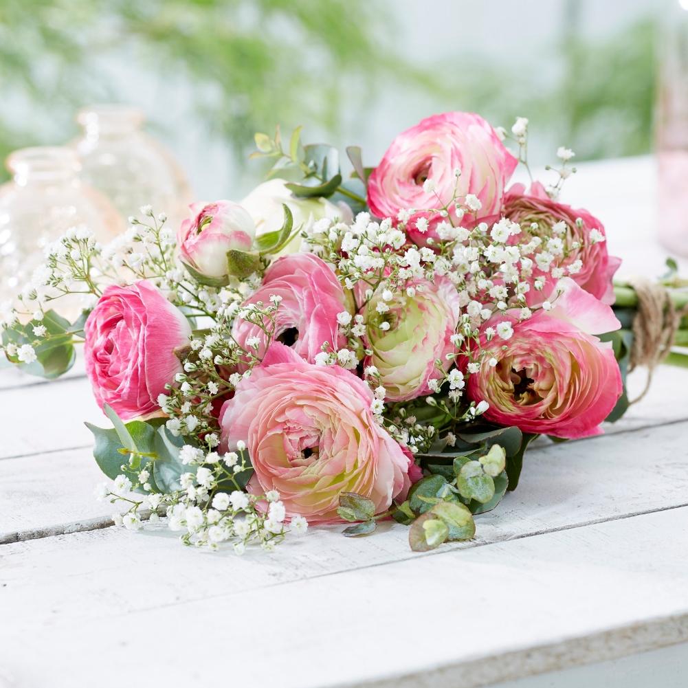 Ranunculus Pink/White - Longfield Gardens